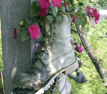 Old boot used as a flower pot.