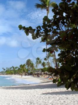 A view of the Caribbean beach.