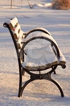 Snow covered park bench at early morning light.
