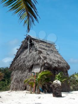 Coconut palm leaves hut on the caribbean beach.