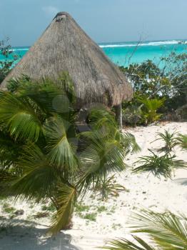 Palm leaves hut on the caribbean beach.
