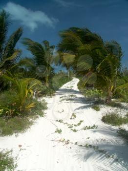 Road on the caribbean beach.