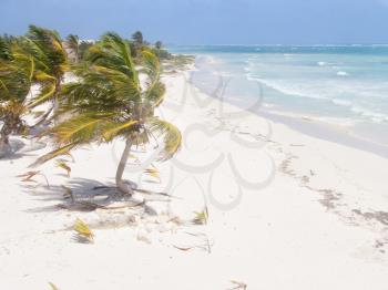 A view of the caribbean beach.