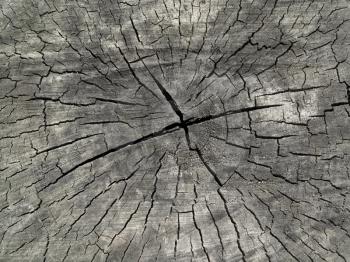 closeup of old wood background