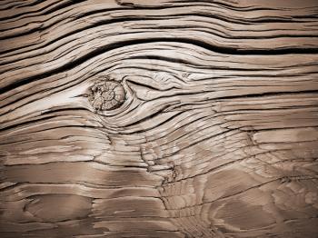 close up of old wood background                                      