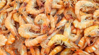 Raw fresh shrimp close-up on the market