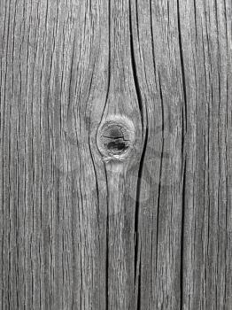 Texture of weathered wood                               