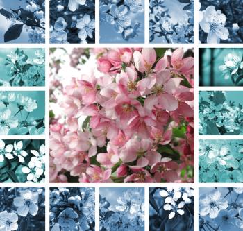 Royalty Free Photo of a Collage of Flower Trees