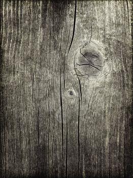 Grunge texture of old weathered wood