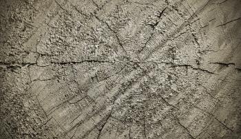 Natural wooden texture with rings and cracks pattern, closeup, vintage effect