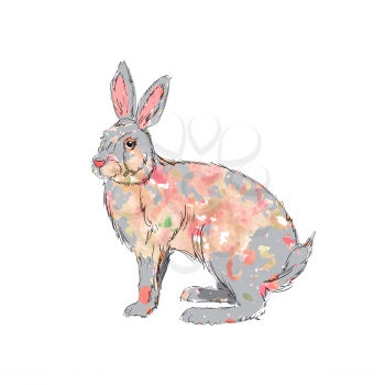 Illustration of hand drawn watercolor rabbit
