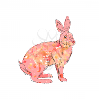 Illustration of watercolor pink rabbit