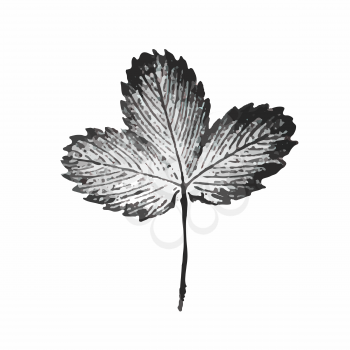 Illustration of engraved strawberry leaf isoalated on white background