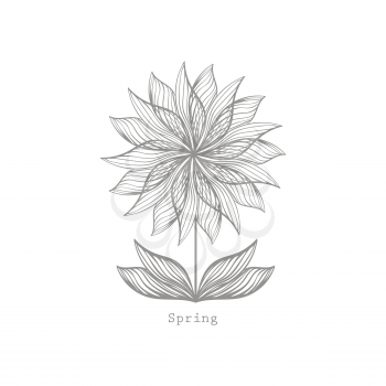 Modern illustration with flower icon and simple Spring text isolated on white background