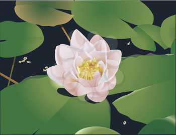Royalty Free Clipart Image of a Lotus on a Lily-pad 