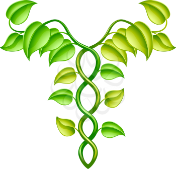 Natural or alternative medicine concept of two vines intertwined in a caduceus style.
