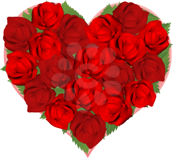 Illustrations of beautiful red roses in heart shaped arrangement