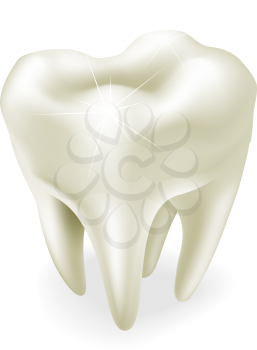 An illustration of a healthy wisdom tooth or molar  