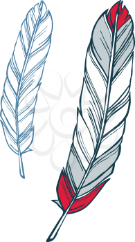 Red and blue feather hand-drawn sketch illustration
