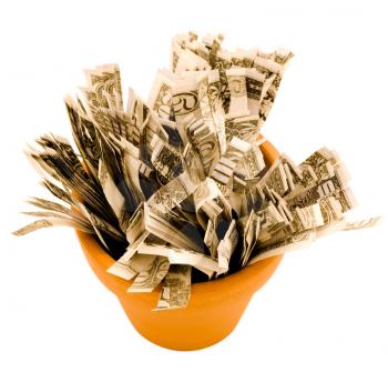 Paper money in a pot isolated over white