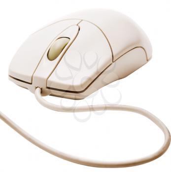 Computer mouse isolated over white