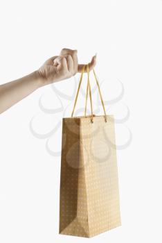 Close-up of a woman's hand holding a shopping bag