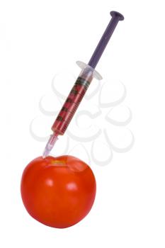 Tomato being injected with a syringe