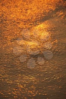 Sunlight reflected on water surface, Goa, India