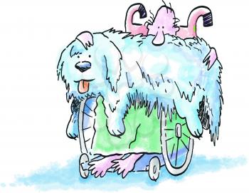 Royalty Free Clipart Image of a Man in a Wheelchair With a Shaggy Dog on His Lap