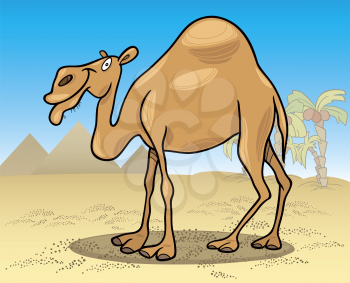 Royalty Free Clipart Image of a Camel on the Desert