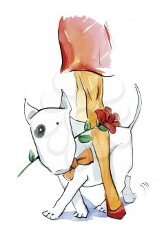 Royalty Free Clipart Image of a Dog With a Flower and a Woman's Legs