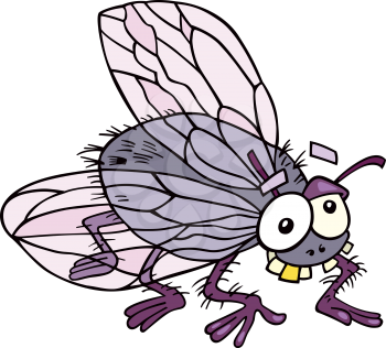 Royalty Free Clipart Image of a Funny Fly