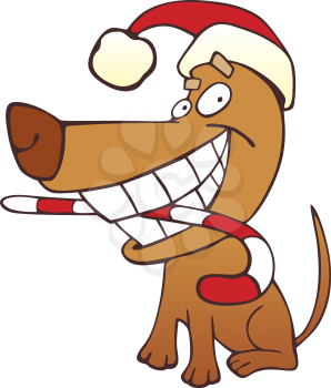 Royalty Free Clipart Image of a Funny Dog in a Santa Hat With a Candy Cane