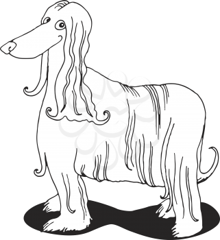 Royalty Free Clipart Image of an Afghan Hound