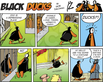 Royalty Free Clipart Image of a Black Ducks Comic Strip in the Zoo