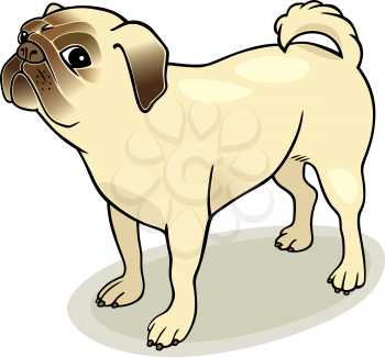 Royalty Free Clipart Image of a Pug