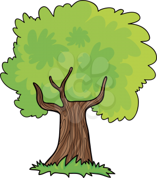 Royalty Free Clipart Image of a Leafy Tree