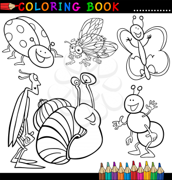 Coloring Book or Page Cartoon Illustration of Funny Insects and Bugs for Children