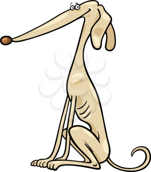 Cartoon Illustration of Funny Purebred Greyhound Dog