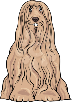 Cartoon Illustration of Cute Bearded Collie Purebred Dog