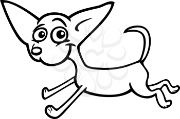Cartoon Illustration of Funny Purebred Running Chihuahua Dog for Coloring Book or Coloring Page