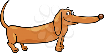 Cartoon Illustration of Cute Purebred Dachshund Dog