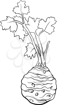 Black and White Cartoon Illustration of Celery Root Vegetable Food Object for Coloring Book