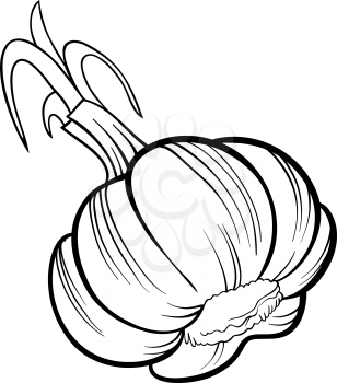 Black and White Cartoon Illustration of Garlic Head Vegetable Food Object for Coloring Book
