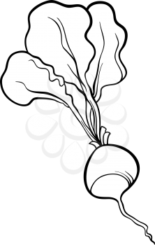 Black and White Cartoon Illustration of Radish Vegetable Food Object for Coloring Book