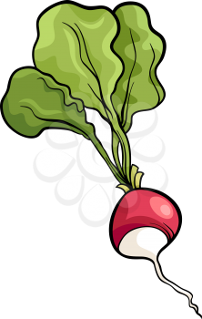 Cartoon Illustration of Radish Vegetable Food Object