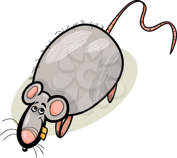Cartoon Humorous Illustration of Funny Rat Animal Character