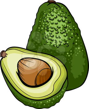 Cartoon Illustration of Avocado Fruit Food Object