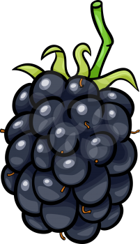 Cartoon Illustration of Blackberry Berry Fruit Food Object