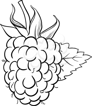 Black and White Cartoon Illustration of Raspberry Berry Fruit Food Object for Coloring Book